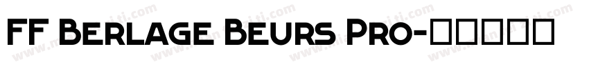 FF Berlage Beurs Pro字体转换